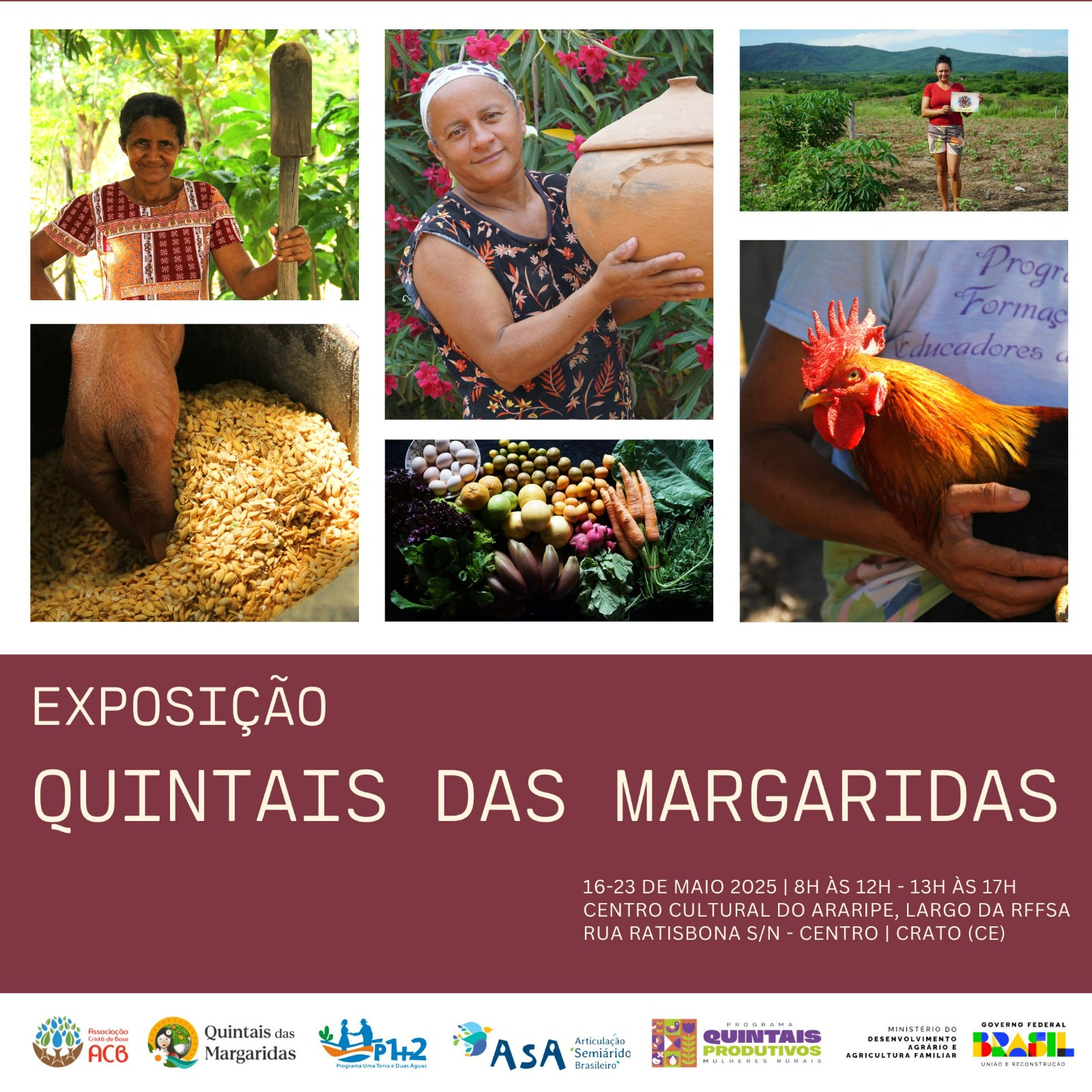 Exposição Quintais das Margaridas
