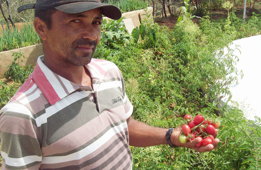 Intercâmbio aproxima agricultores de Santana do Cariri e Crato