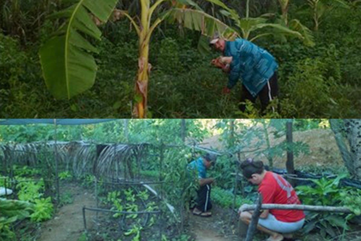 Projeto de incentivo para agricultores da comunidade Catolé