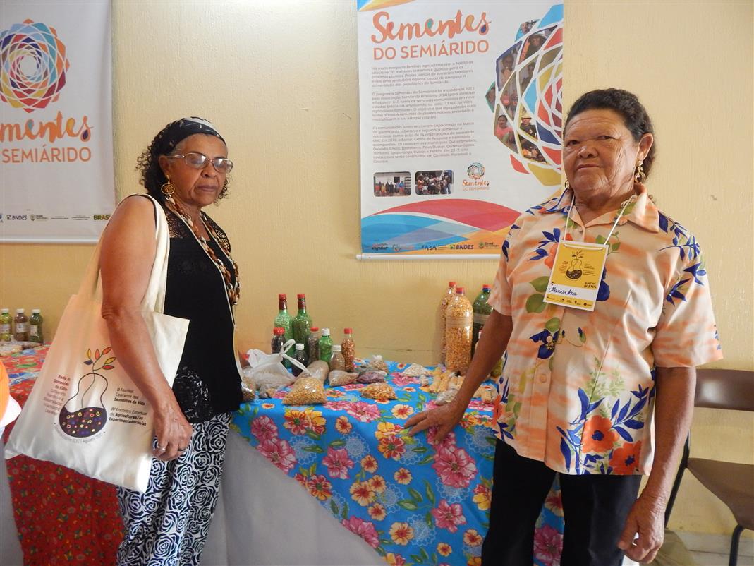 Festival de Sementes reúne agricultores e agricultoras do Ceará