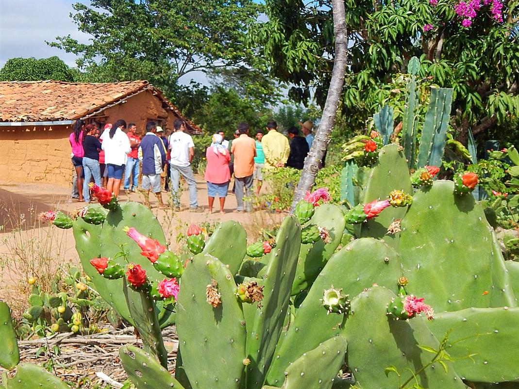 Trocando saberes: visitas de intercâmbios