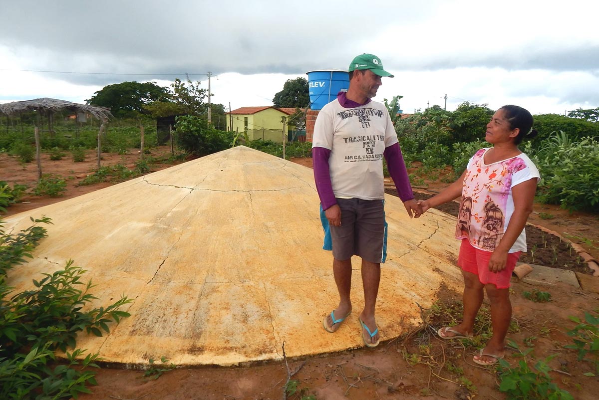 Um quintal que transborda vida
