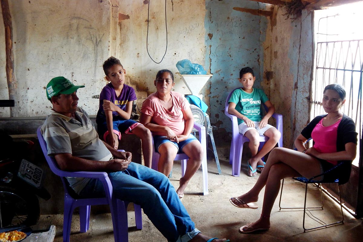 Um quintal que transborda vida